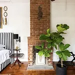 Chic Cottage Near The Lower French Quarter