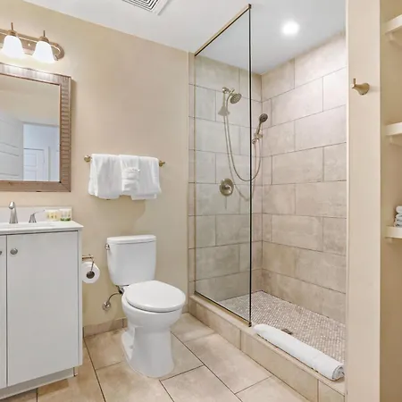 Pet-friendly Vibrant Near French Quarter New Orleans
