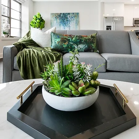 Spacious Luxury 4br Moments From French Quarter Apartment New Orleans
