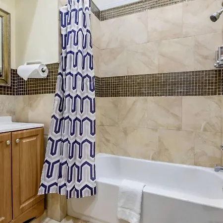 Carondelet Street Spacious Close To French Quarter Apartment New Orleans