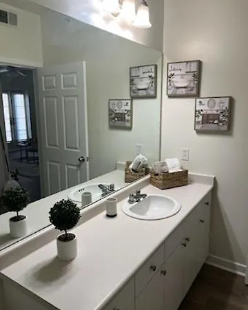 Perfect Proximity Apartment New Orleans