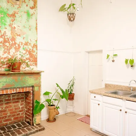 New Marigny Shotgun