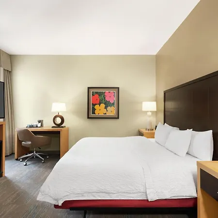 Hampton & Downtown French Quarter Area Hotel