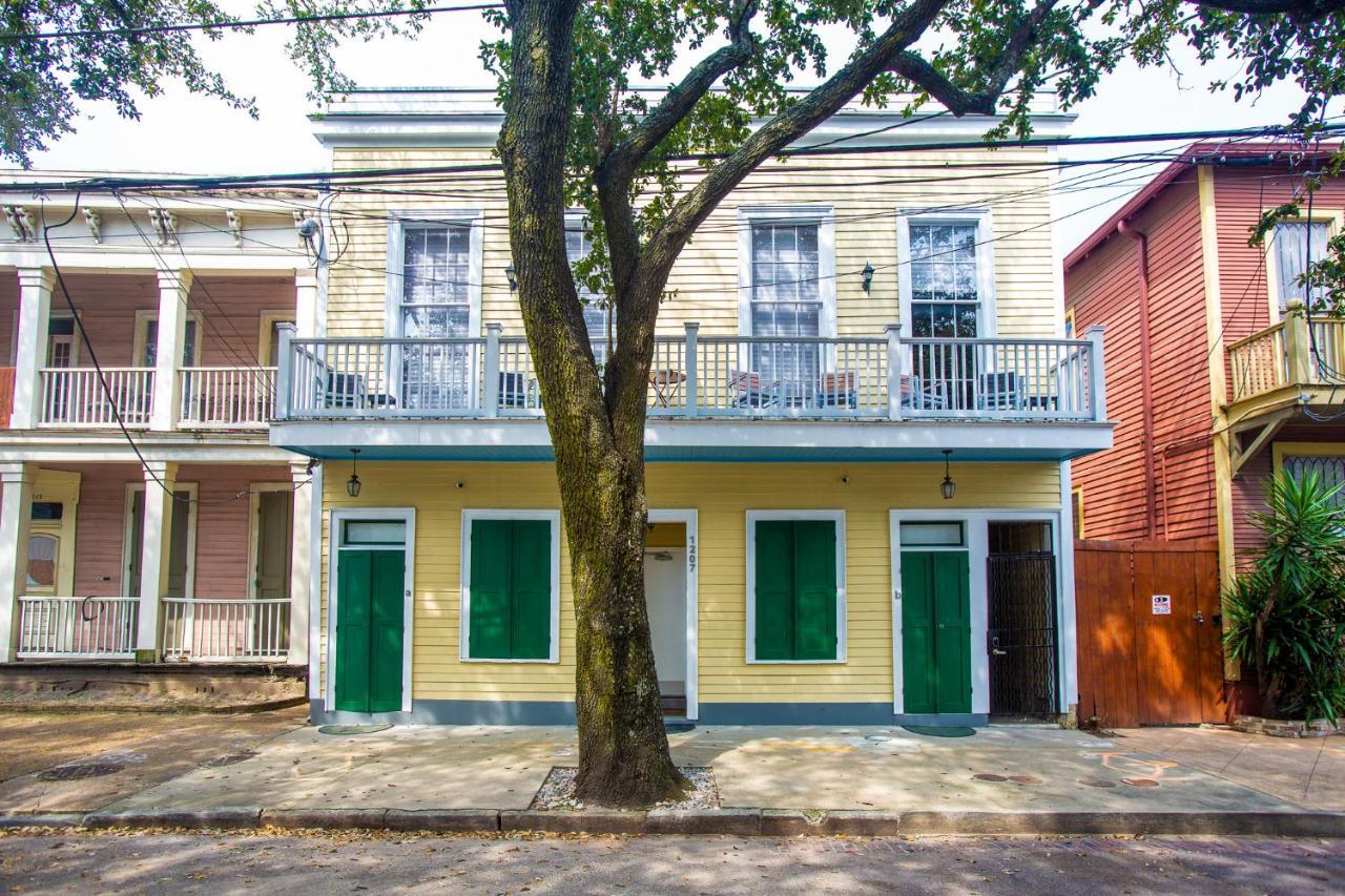 Parrot Palace Apartment