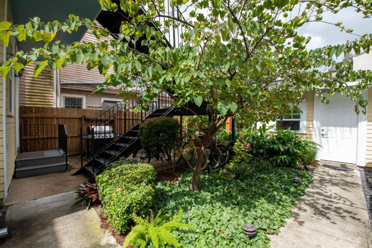 Parrot Palace Apartment New Orleans