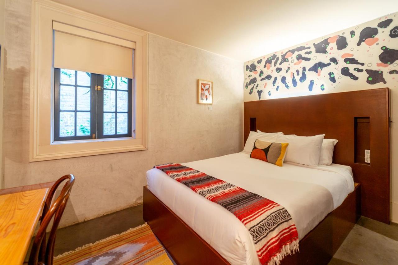 Catahoula New Orleans