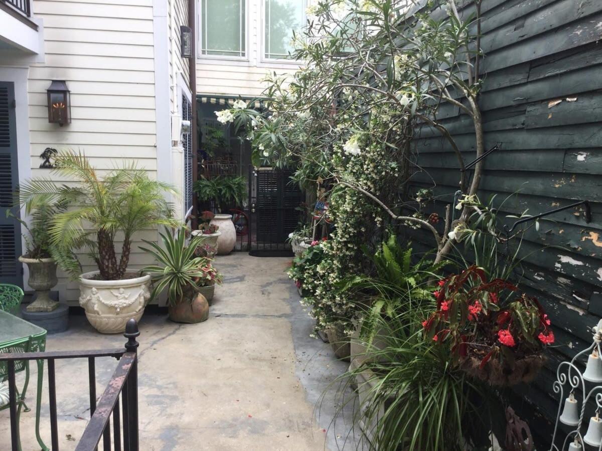 Cozy In The Marigny