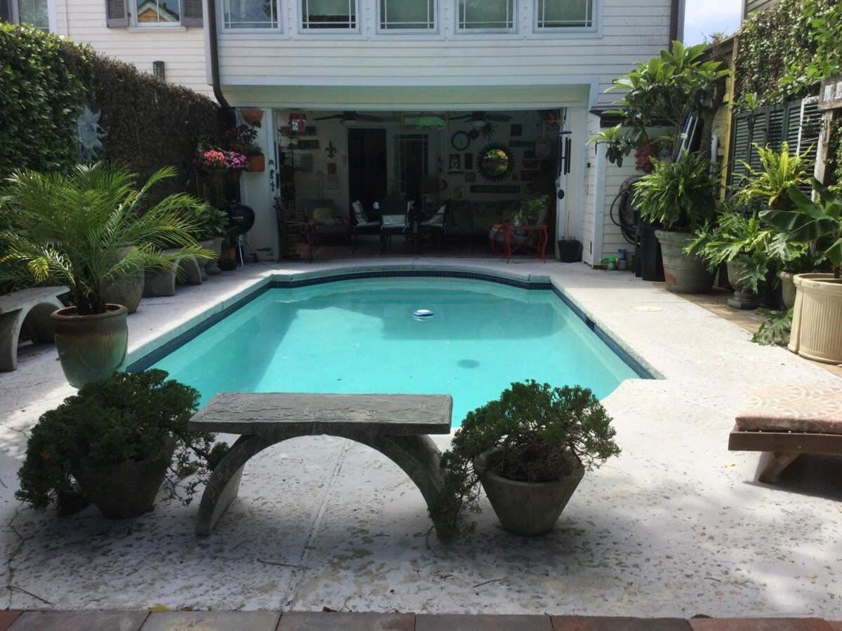 Apartment Cozy In The Marigny