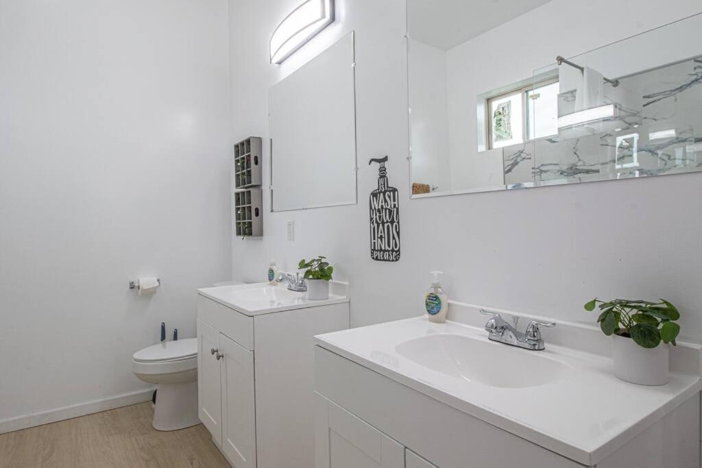 Apartment Vibrant Gray Downtown Loft New Orleans