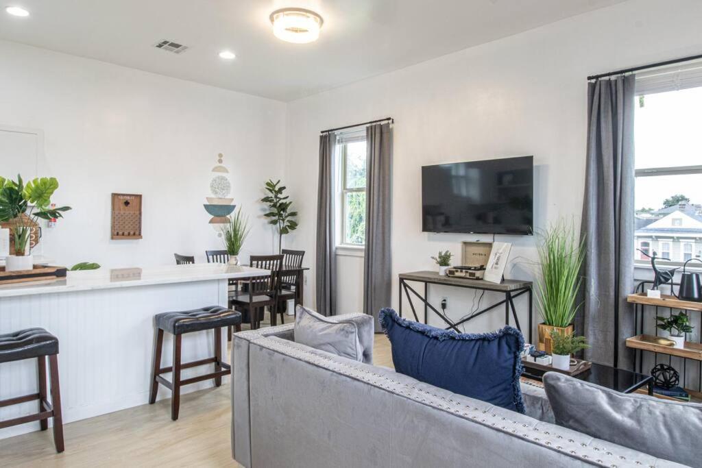 Vibrant Gray Downtown Loft Apartment