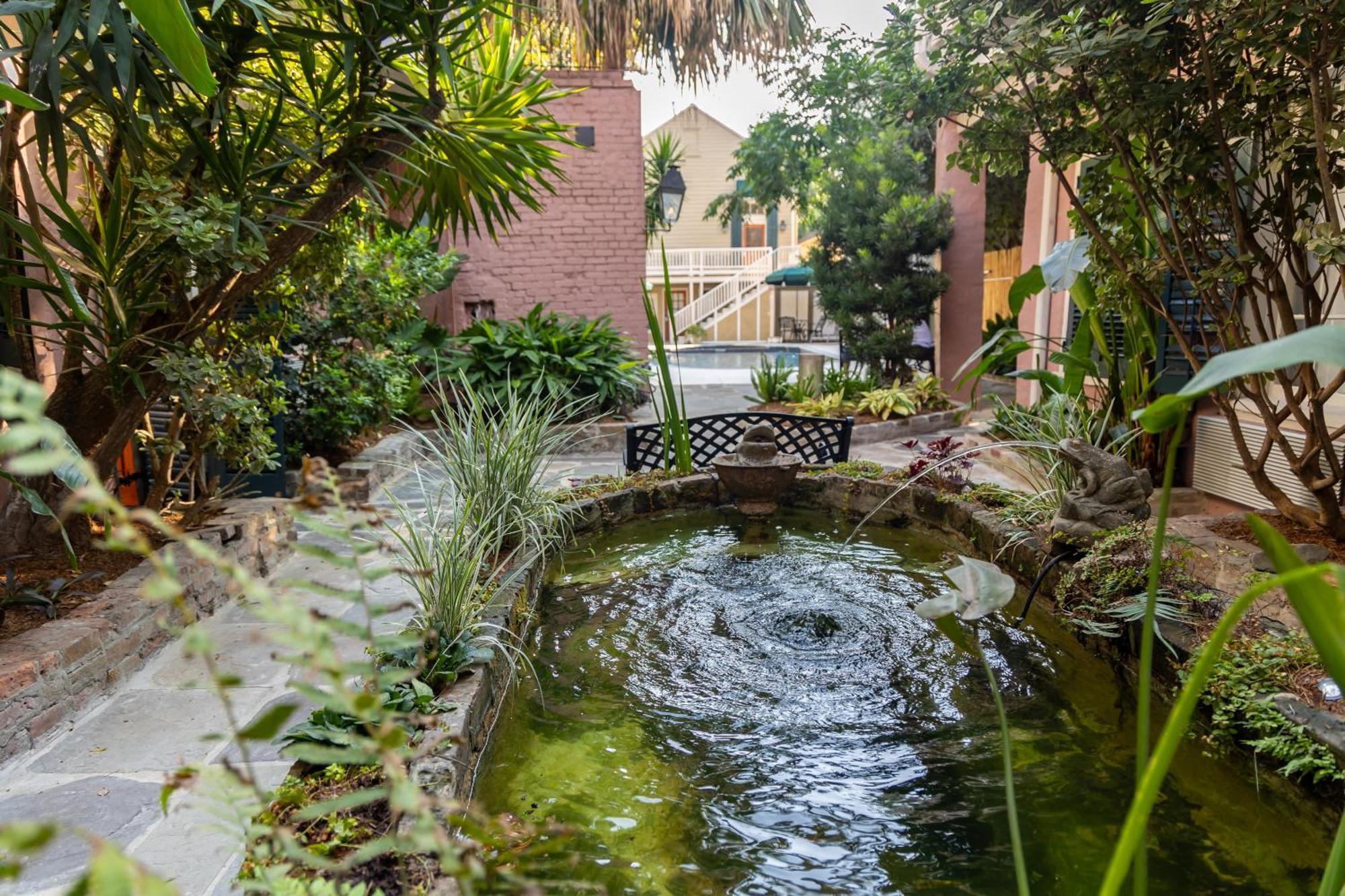 Lamothe House A French Quarter Hotel New Orleans