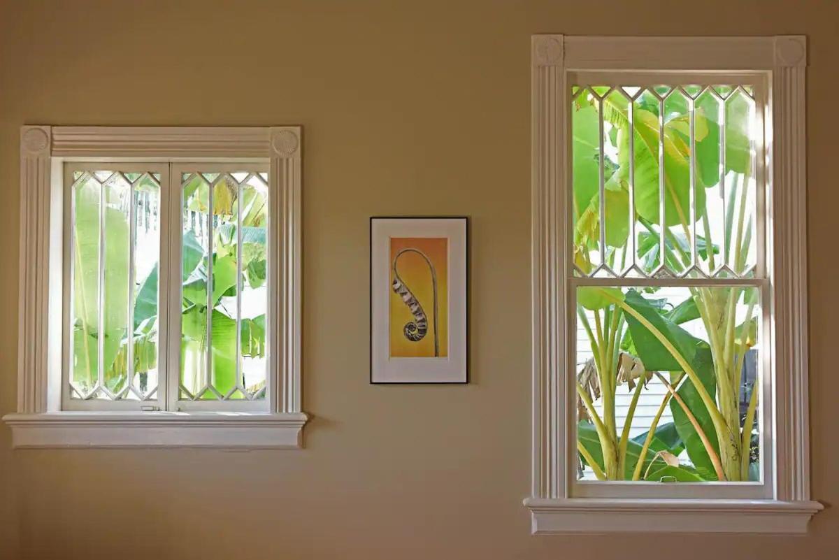 Beautiful Aububon Park Uptown Holiday home New Orleans
