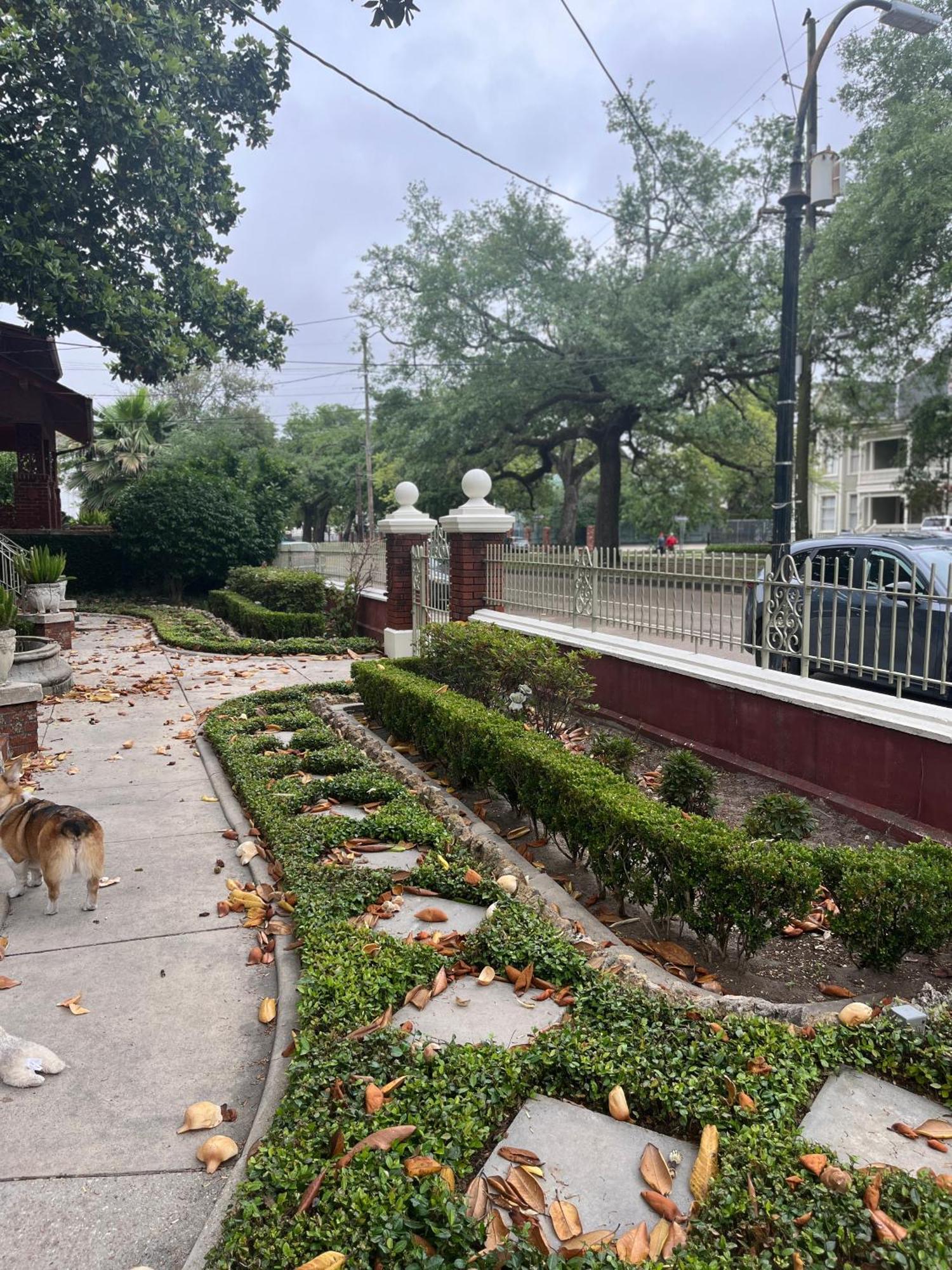 The Happy House New Orleans