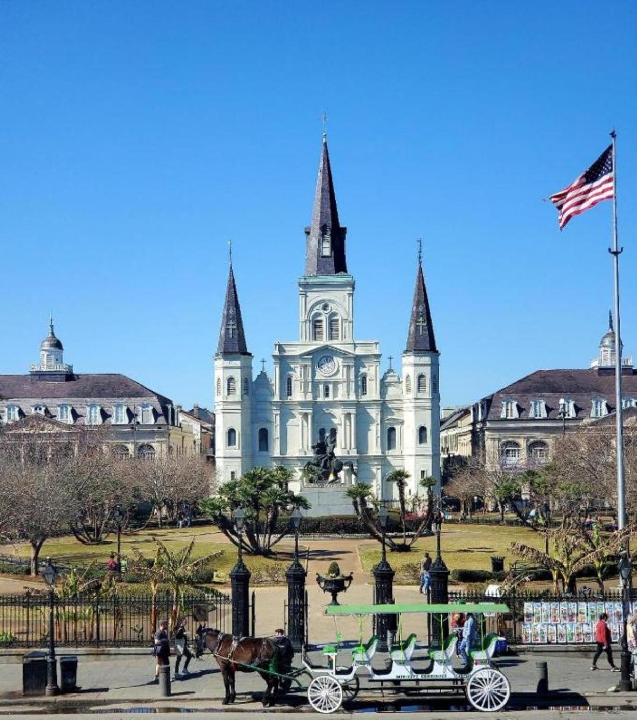 Apartment Hidden Jewel Btwn French Quarter & Frenchmen St *