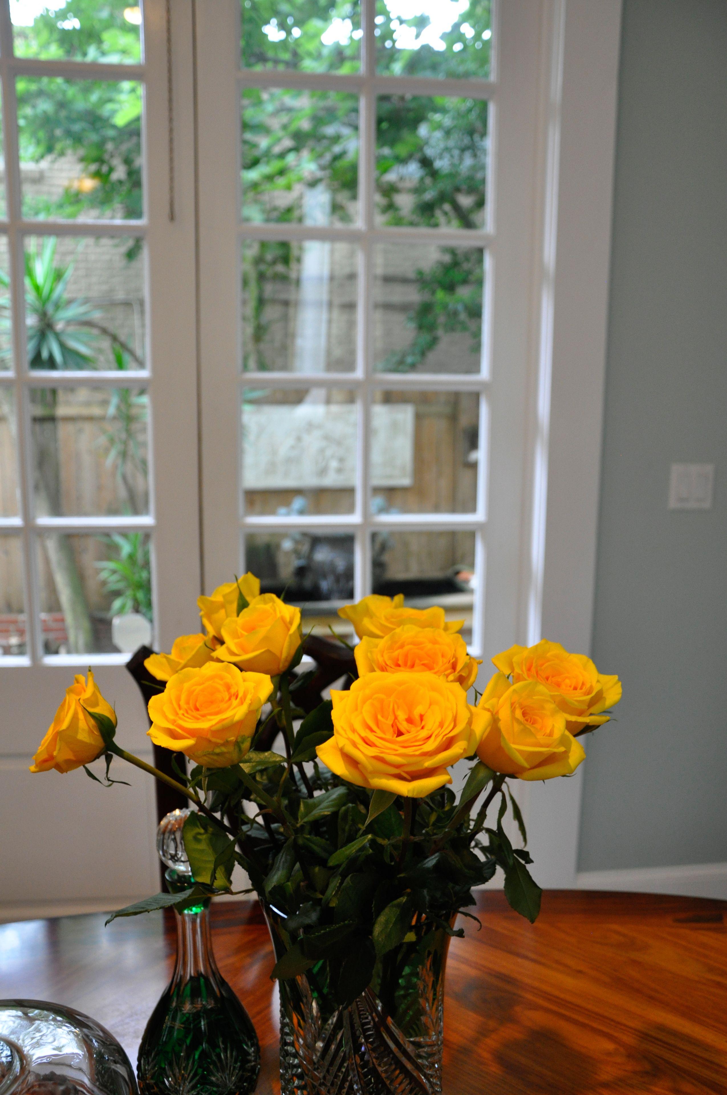 R&b - Award Winning (adults Only) 3* New Orleans