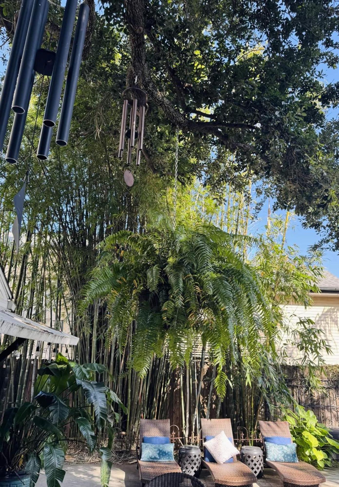Historic- Salt Pool-balconies-near French Quarter New Orleans
