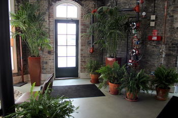 Catahoula New Orleans