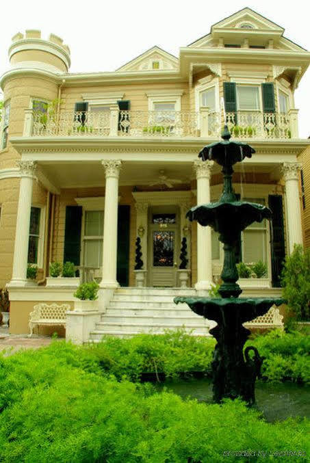 Cornstalk New Orleans