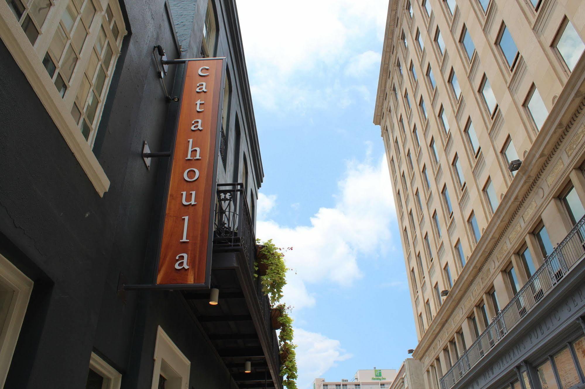 Catahoula New Orleans