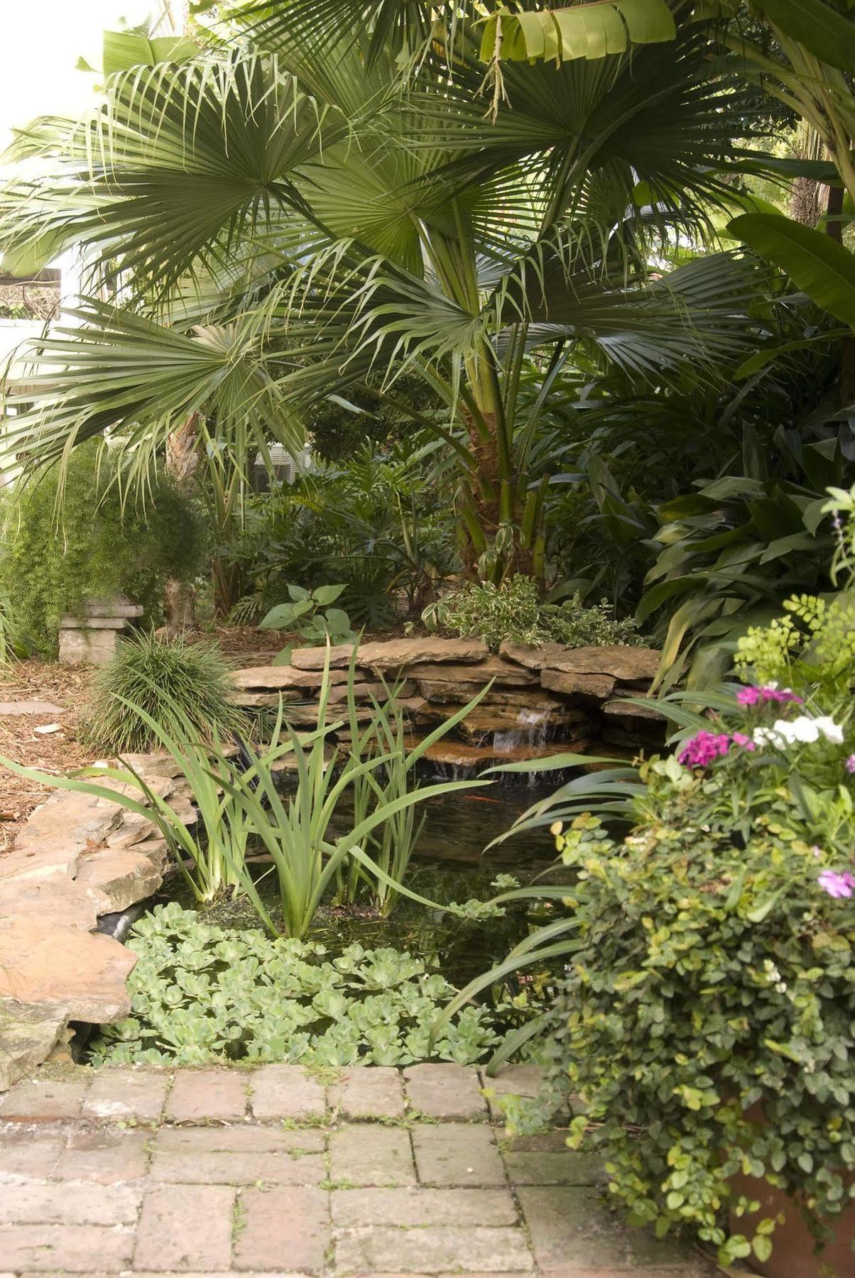 Southern Comfort Bed & Breakfast