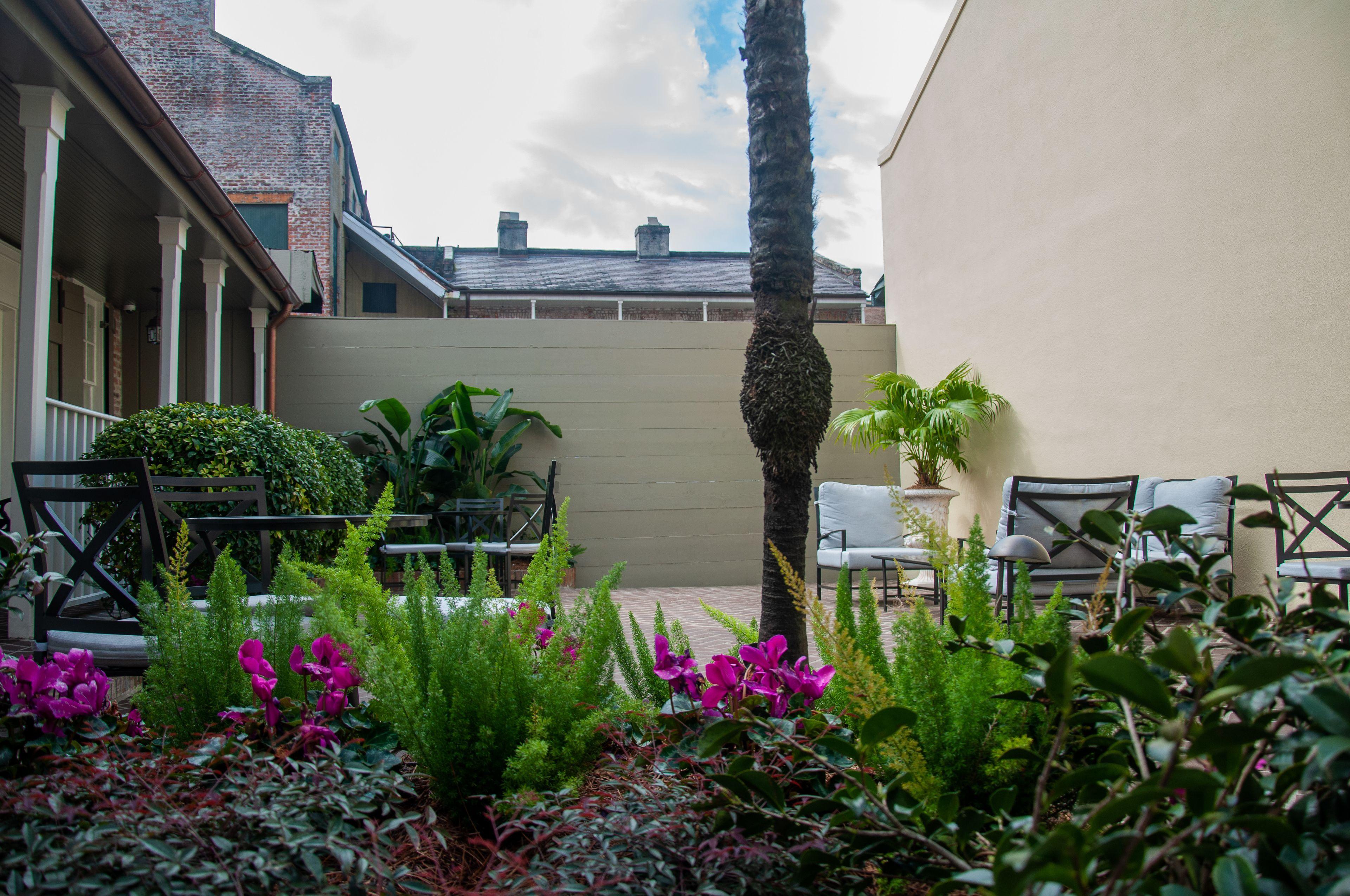 Dauphine Orleans Hotel New Orleans