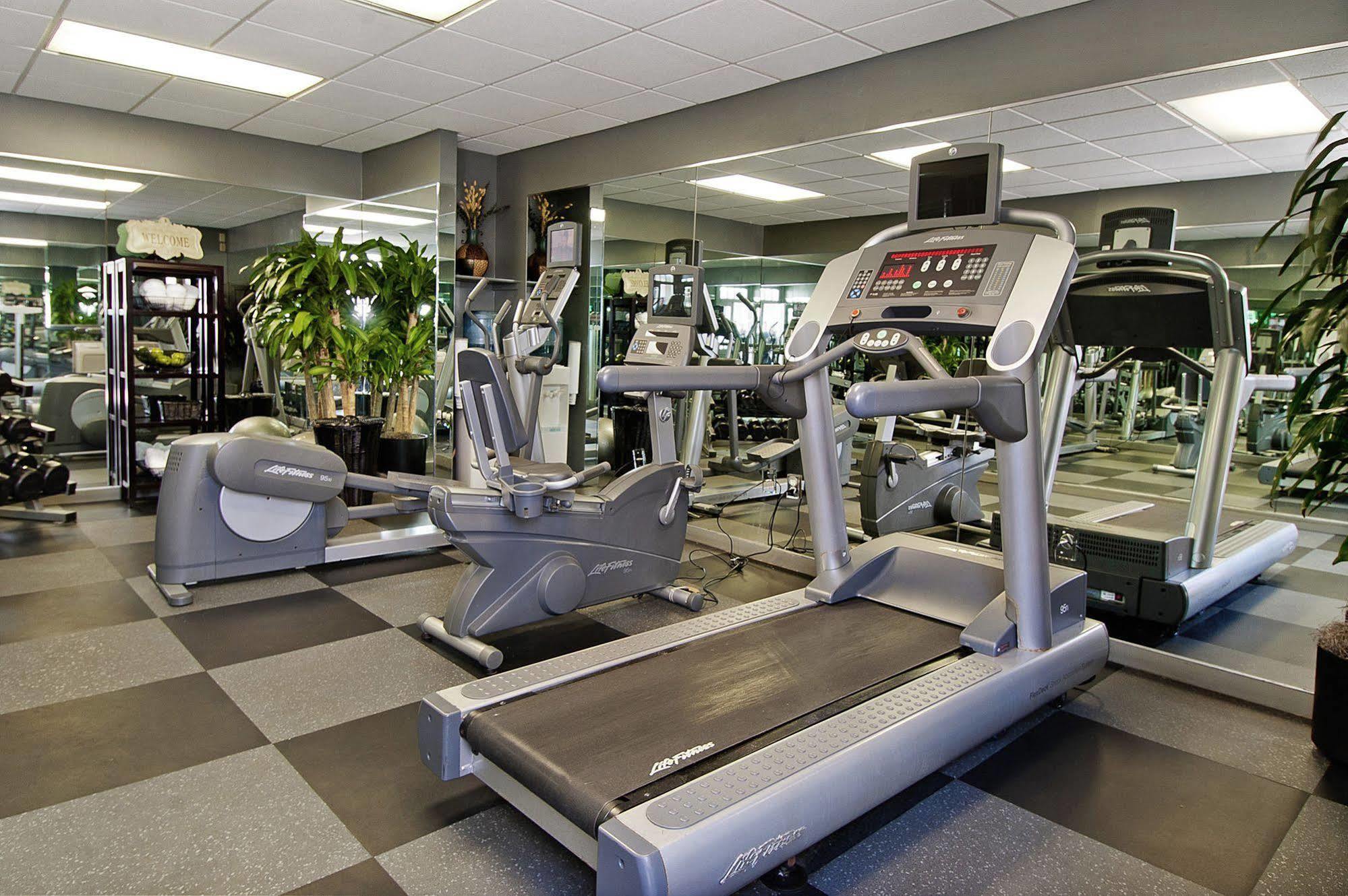 Dauphine Orleans Hotel New Orleans