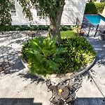 Amazing 3Br Cottage Off St Charles With Pool