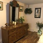 Jungle Theme
