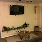 Jungle Theme