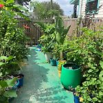 Green Garden View