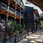 The Prytania Oaks