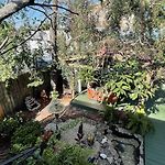 Madame Isabelle\'S House