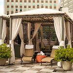 The Roosevelt Hotel New Orleans - Waldorf Astoria Hotels & Resorts