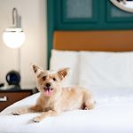 Hyatt Centric French Quarter New Orleans