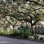 Cozy Apartment In Bayou St John