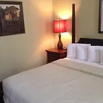 The Prytania Oaks New Orleans