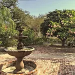 Bed & Breakfast The Esplanade Mansion 3*