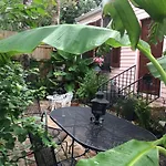 The Pearl