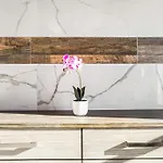 Stunning Near French Quarter Apartment