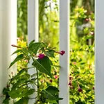 Uptown Jazz Retreat 2Br Near Freret St Dining