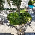 Amazing 3Br Cottage Off St Charles With Pool