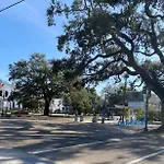 Walk To Jazz Fest From Garden