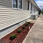 Simplicity Stays Nola