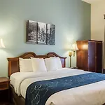 Hotel Comfort East 4*