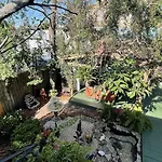 Madame Isabelle\'S House