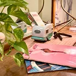 The Railyard Nola - Adult Only, Clothing Optional Pool