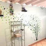 Petit Chateau Inn, French Quarter, New Orleans