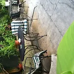 Hotel Nine-o-five Royal 3*