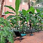 Chateau Orleans Aparthotel New Orleans