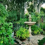 Lions Bed & Breakfast 3*